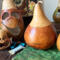 The back of the gourds shows that I've engraved the names Wallace and Frankie in the gourd shells. 